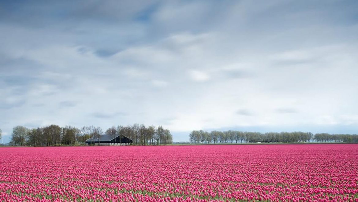best places in netherlands